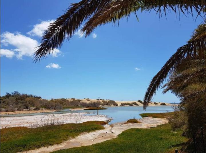 Bungalow Tropical Con Piscina Y Aire Acondicionado Maspalomas  Eksteriør billede